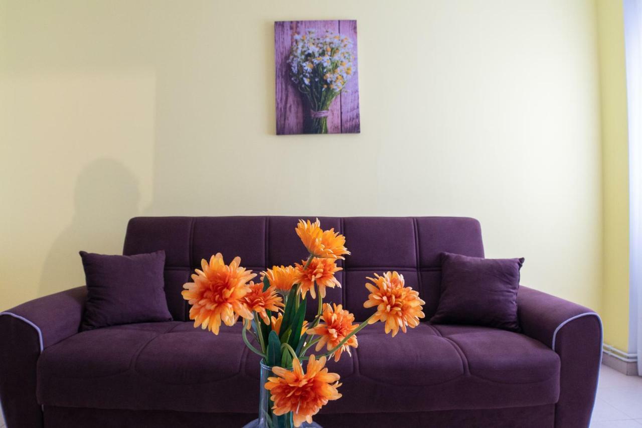 Apartamentos Enteros O Lagar Melide Exteriör bild